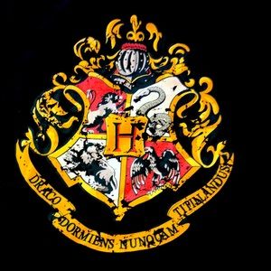 Vintage Harry Potter shirt Griffindor